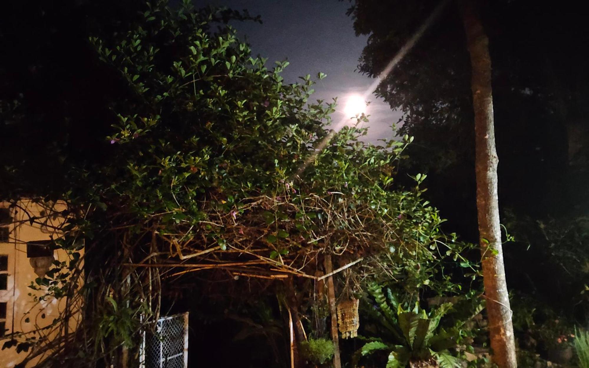 Balmy Hideout Cafe & Homestay Banhuajkeo Kültér fotó