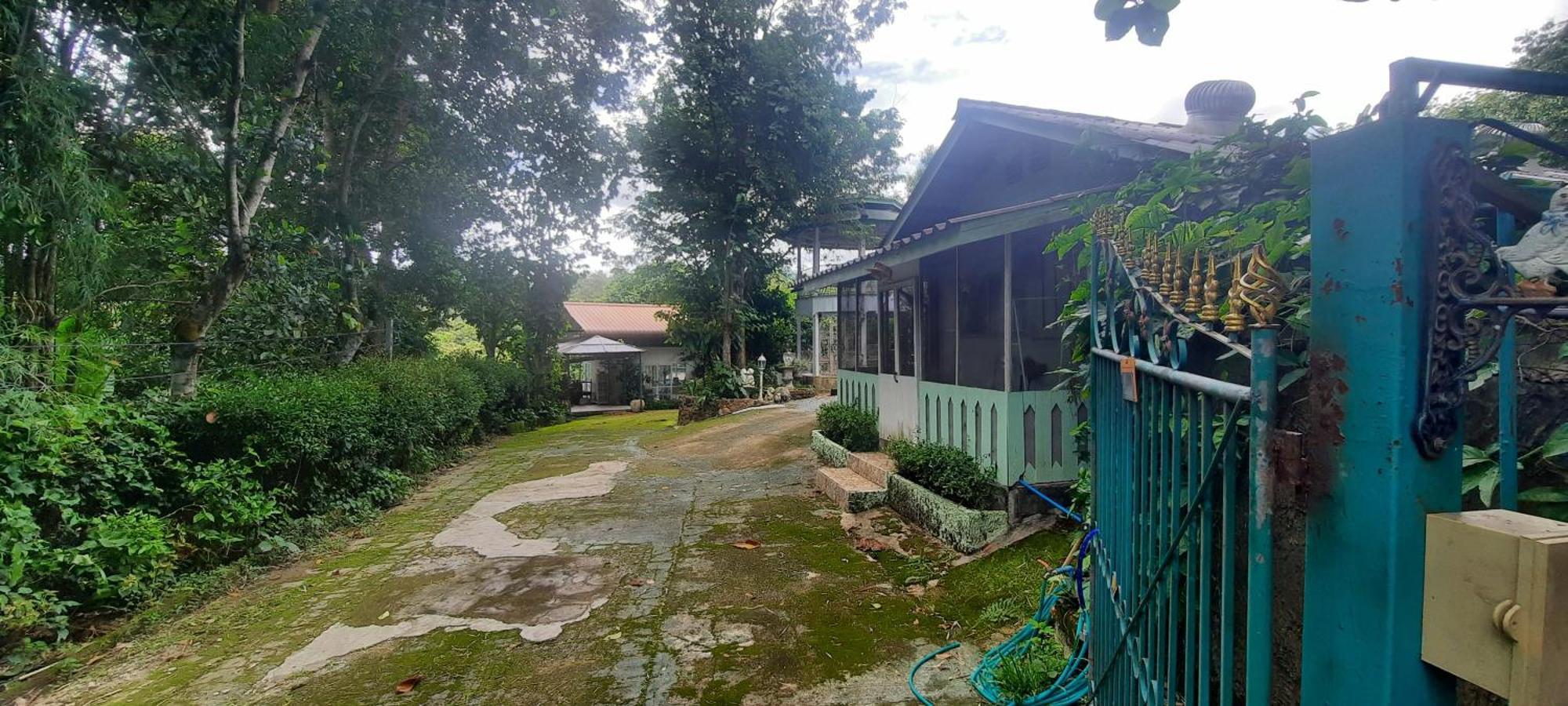 Balmy Hideout Cafe & Homestay Banhuajkeo Kültér fotó