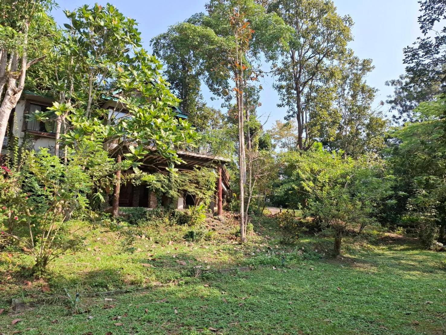 Balmy Hideout Cafe & Homestay Banhuajkeo Kültér fotó